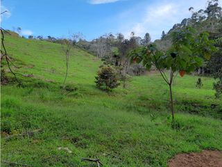 Venta de Lote en Rionegro