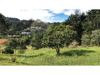 Venta de Lote En Rionegro