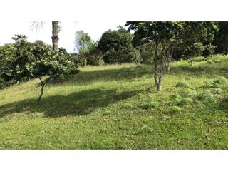 Venta de Lote En Rionegro