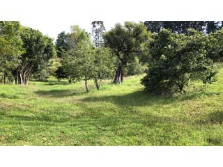 Venta de Lote En Rionegro