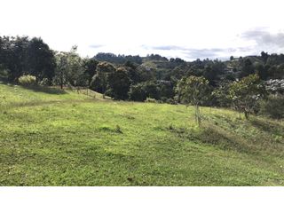 Venta de Lote En Rionegro