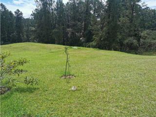Foto 2 de Venta Lote en el Alto de las Palmas