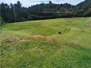 Foto 4 de Venta Lote en el Alto de las Palmas