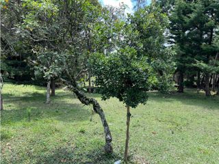 Venta de Lote en Rionegro