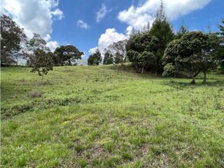 Venta de Lote en Rionegro