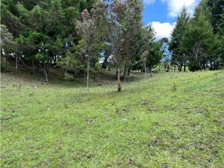 Venta de Lote en Rionegro