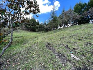 Venta de Lote en Rionegro