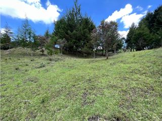 Venta de Lote en Rionegro