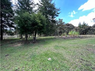 Venta de Lote en Rionegro