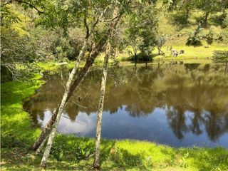 Venta de Lote en El Retiro