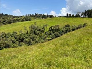 Venta de Lote en El Retiro