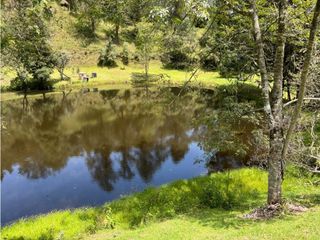 Venta de Lote en El Retiro