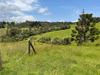 Venta de Lote en El Retiro