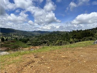 Foto 5 de Venta de Lote en Las palmas