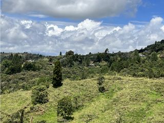 Foto 2 de Venta de Lote en Las palmas