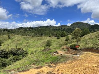 Foto 4 de Venta de Lote en Las palmas