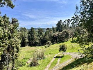 Foto 1 de Venta de Lote en el Alto de las Palmas