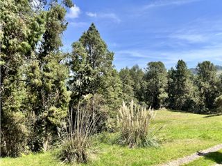 Foto 3 de Venta de Lote en el Alto de las Palmas