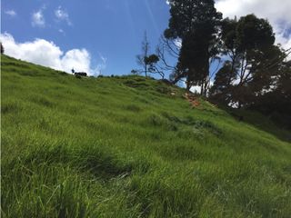 Foto 1 de Venta de Lote en el Alto de las Palmas