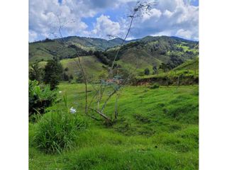 Venta de Lote en el Retiro