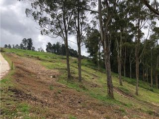 Foto 4 de Venta de Lote en el Alto de Palmas