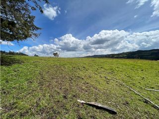 Foto 2 de Venta de Lote en La Variante Aeropuerto Envigado