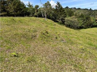Foto 12 de Venta de Lote en La Variante Aeropuerto Envigado