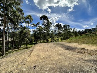 Venta de Lote en El Retiro