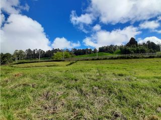 Foto 6 de Venta de Lote en el Alto de las Palmas