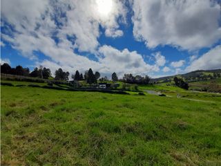 Foto 1 de Venta de Lote en el Alto de las Palmas