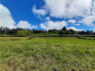 Foto 7 de Venta de Lote en el Alto de las Palmas