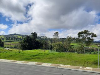 Foto 8 de Venta de Lote en el Alto de las Palmas
