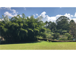 Foto 5 de Venta de lote en Rionegro