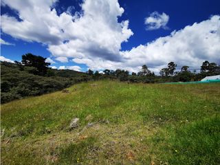 Foto 8 de Venta de Lote en el Alto de  las Palmas