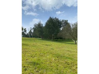 Foto 2 de Venta de Lote en el Alto de las Palmas