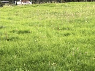 Foto 7 de Venta de lote en el Alto de las Palmas