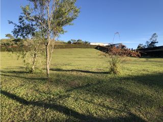 Venta de lote en LLanogrande Rionegro