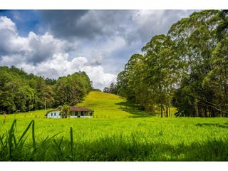 Venta de Lote en el Tablazo Rionegro