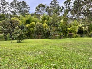 LOTE TOTALMENTE PLANO, VEREDA EL CAPIRO. Rionegro, Ant.