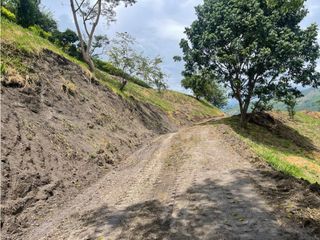 Foto 16 de Maat vende Lote Villeta-Salitre Negro 5.682m2 $340Millones