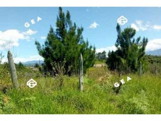 Foto 2 de Venta de Lote vía Totoró, Parcelación La Suiza