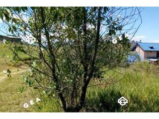 Foto 9 de Venta de Lote vía Totoró, Parcelación La Suiza