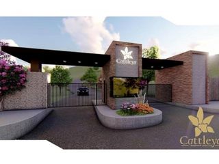 Foto 1 de Venta de Lote Vía Totoró Km 6, Parcelación Cattleya