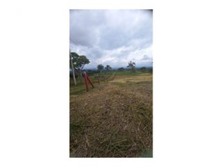 Foto 4 de Venta de Lote en Popayán Sector Genagra