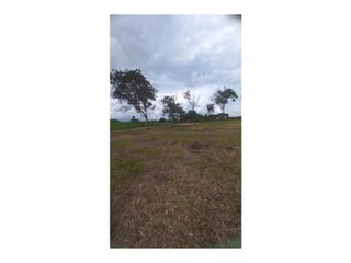 Foto 5 de Venta de Lote en Popayán Sector Genagra
