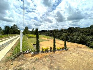 Foto 10 de PROYECTO - GEA Vende Lotes en Parcelacion Campestre Sorento - tutoró