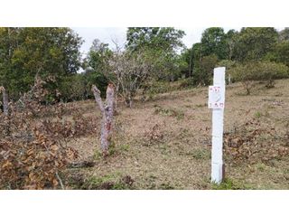 Foto 6 de PROYECTO - GEA Vende Lotes Parcelación Cattleya - Vía Totoró