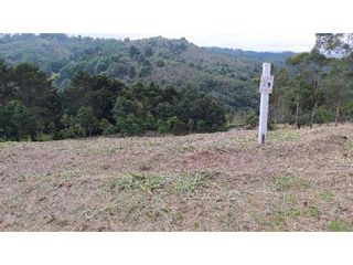 Foto 5 de PROYECTO - GEA Vende Lotes Parcelación Cattleya - Vía Totoró