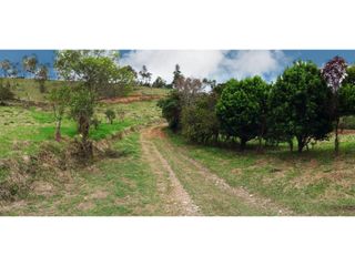 Foto 5 de PROYECTO - GEA Vende Lotes en Altos de Cattleya - vía Totoró
