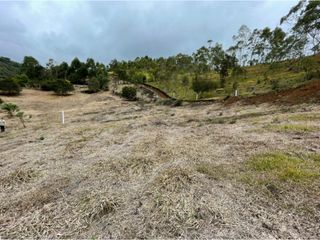 Foto 6 de PROYECTO - GEA Vende Lotes en Altos de Cattleya - vía Totoró